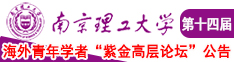 我想操逼找个大鸡巴南京理工大学第十四届海外青年学者紫金论坛诚邀海内外英才！